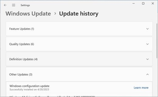 Windows 11 Update History screen with the Other updates section expanded